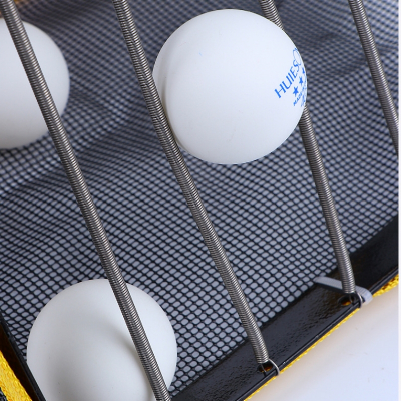 Recogedor de pelotas de Ping P - Table Tennis From reseña y precio